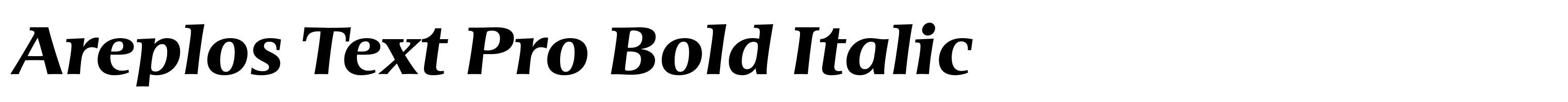 Areplos Text Pro Bold Italic